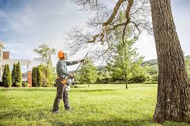 Best Storm Damage Tree Cleanup  in Laie, HI